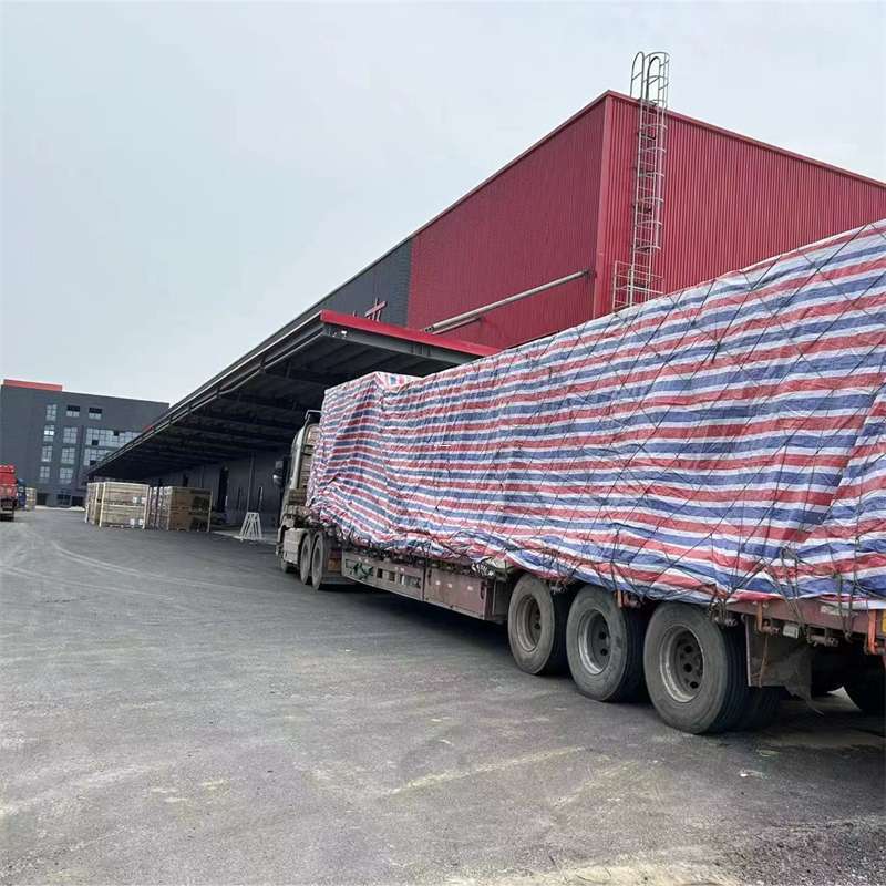 萍乡市墨脱县：物流专线的多元货运服务